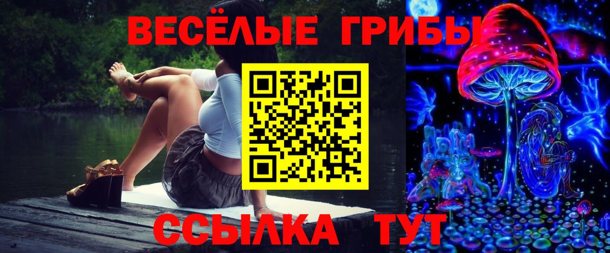 Псилоцибиновые грибы GOLDEN TEACHER  Вход с VPN  наркошоп  Гагарин 